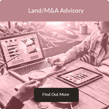 Land / M&A Advisory